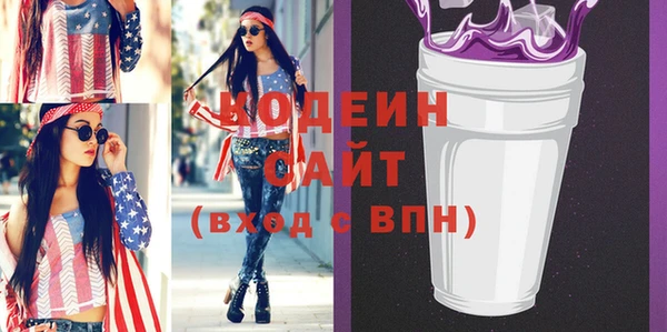хмурый Корсаков