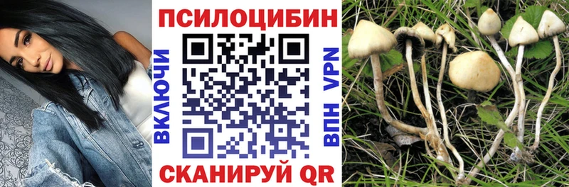 Псилоцибиновые грибы Psilocybine cubensis  Купить закладки  Чадан 